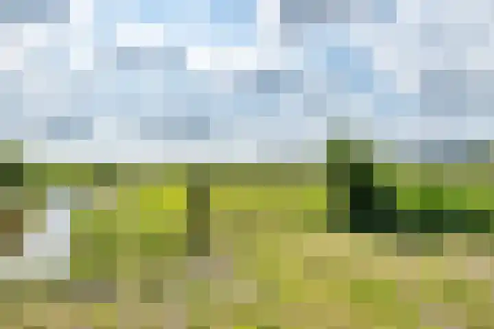 Bootsgezellenweg 18 Westwoud thumbnail 42
