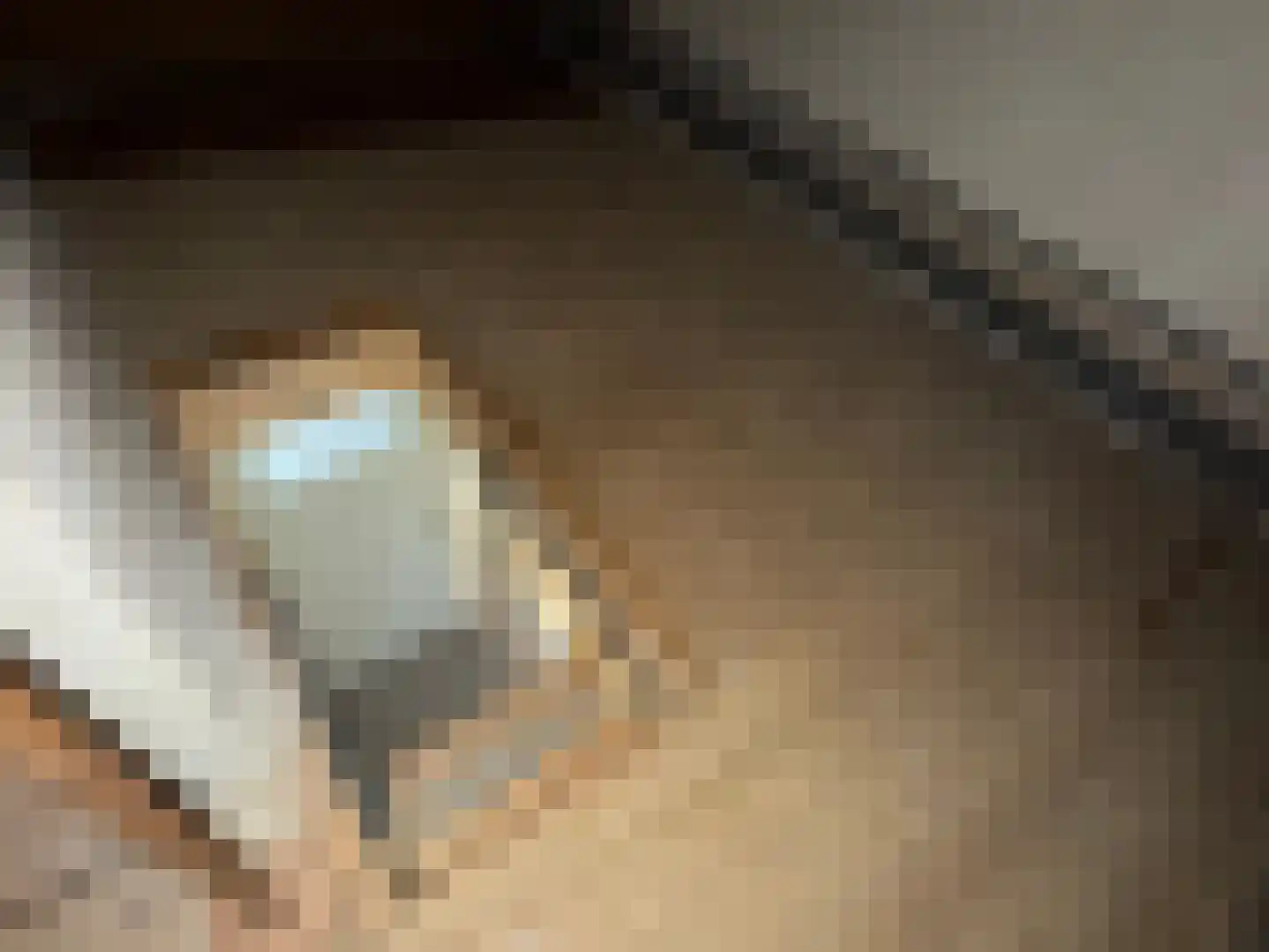 Bootsgezellenweg 2 a Westwoud thumbnail 20
