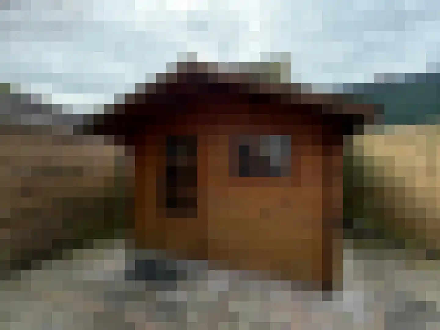 Bootsgezellenweg 2 a Westwoud thumbnail 24