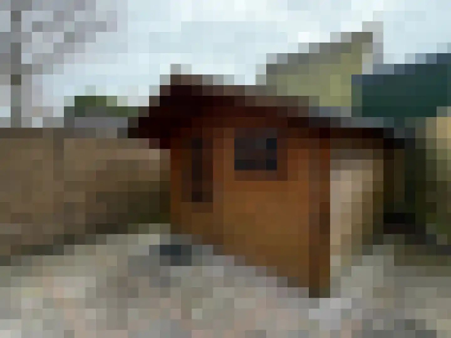 Bootsgezellenweg 2 a Westwoud thumbnail 25