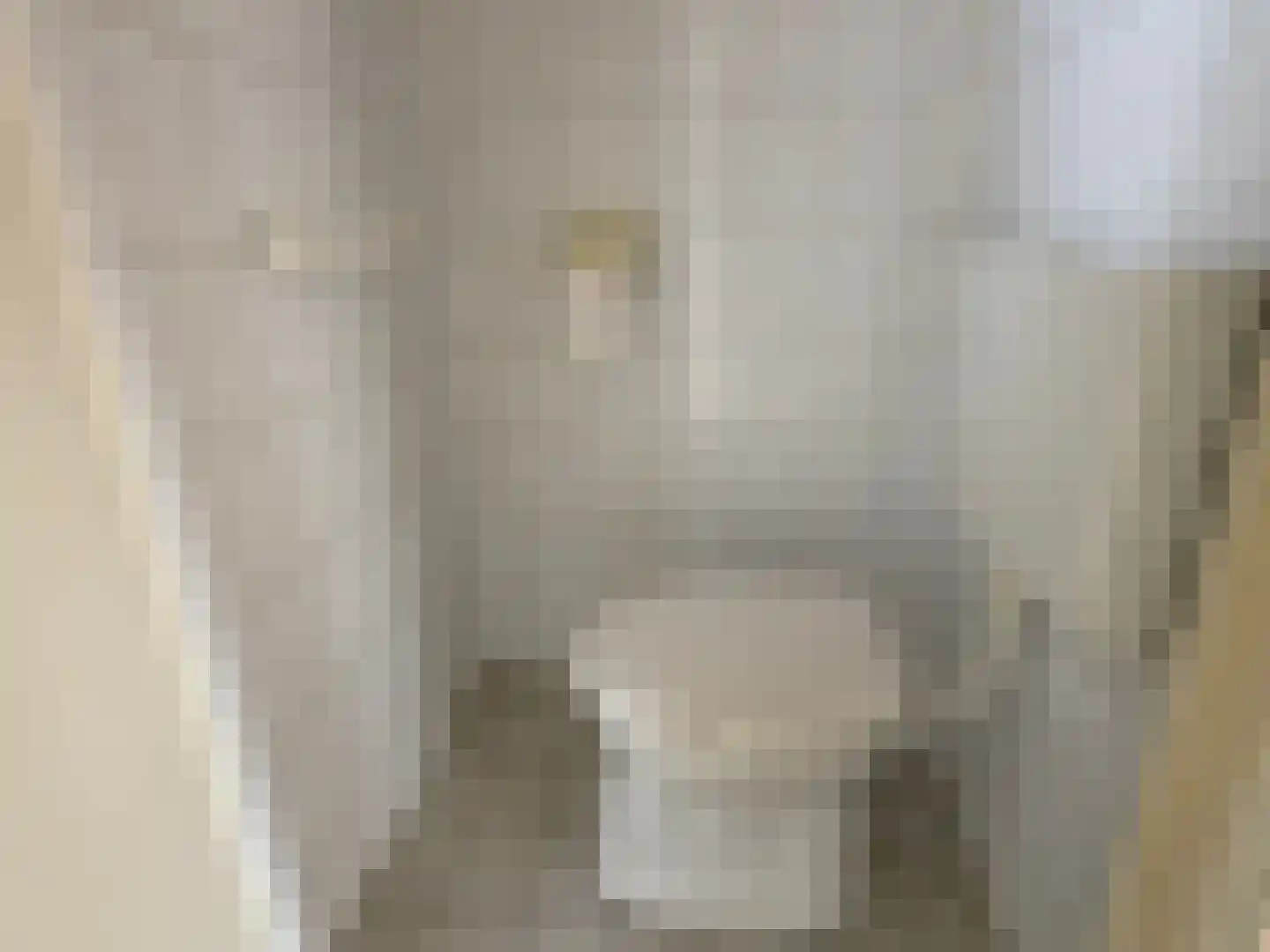 Bootsgezellenweg 2 a Westwoud thumbnail 8
