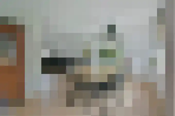 Bootshaak 9 Nieuwkoop thumbnail 11