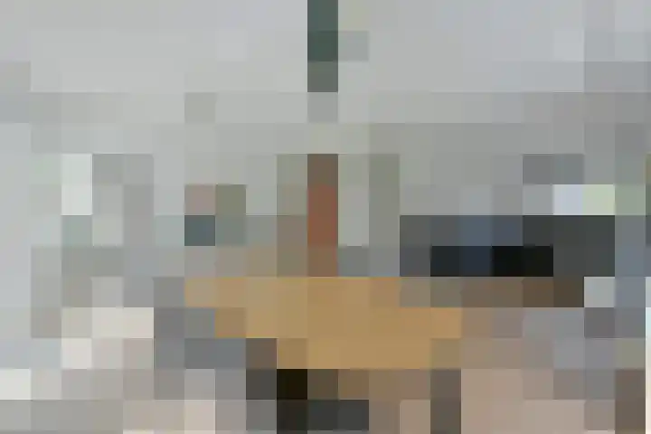Bootshaak 9 Nieuwkoop thumbnail 12