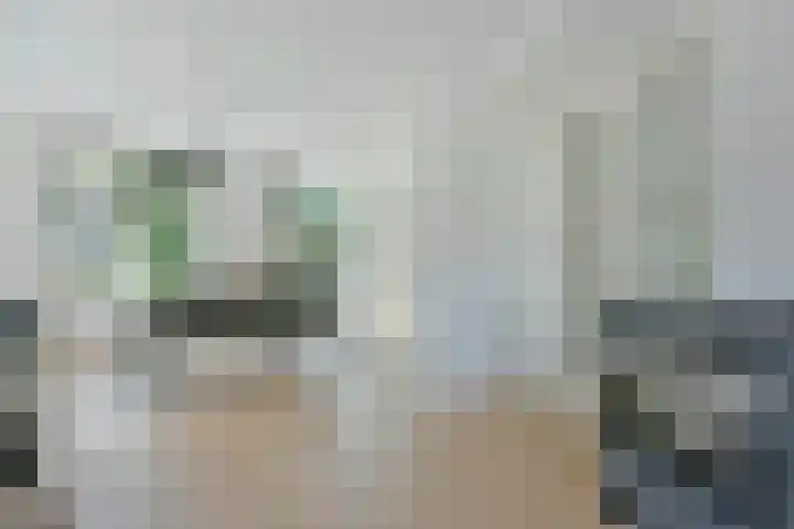 Bootshaak 9 Nieuwkoop thumbnail 13