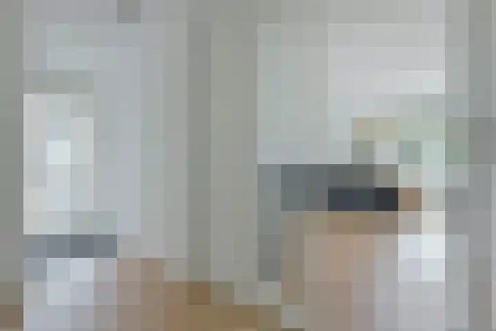 Bootshaak 9 Nieuwkoop thumbnail 15