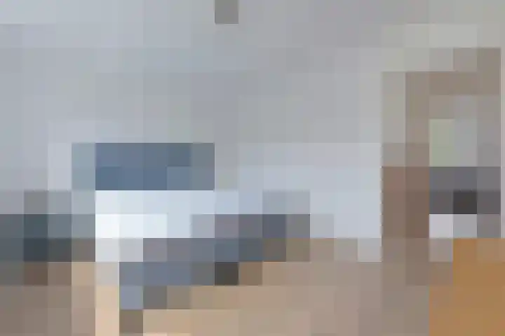 Bootshaak 9 Nieuwkoop thumbnail 21