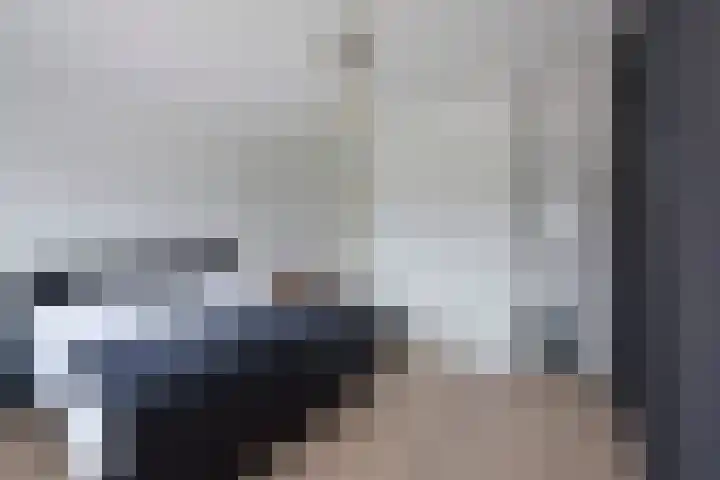 Bootshaak 9 Nieuwkoop thumbnail 24