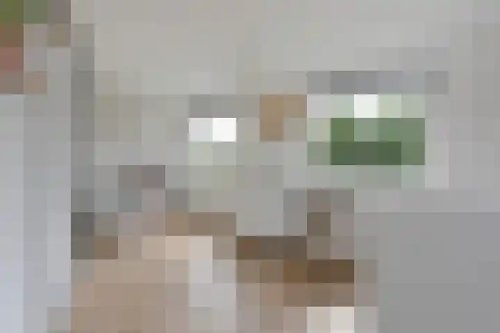 Bootshaak 9 Nieuwkoop thumbnail 27