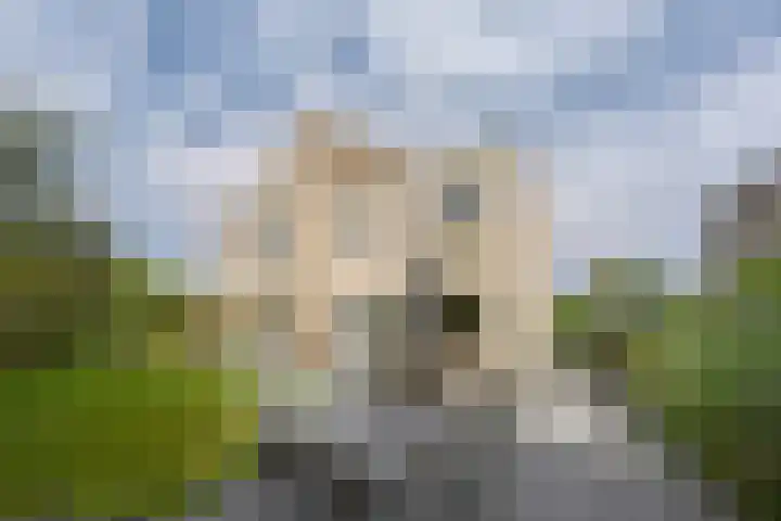 Bootshaak 9 Nieuwkoop thumbnail 31