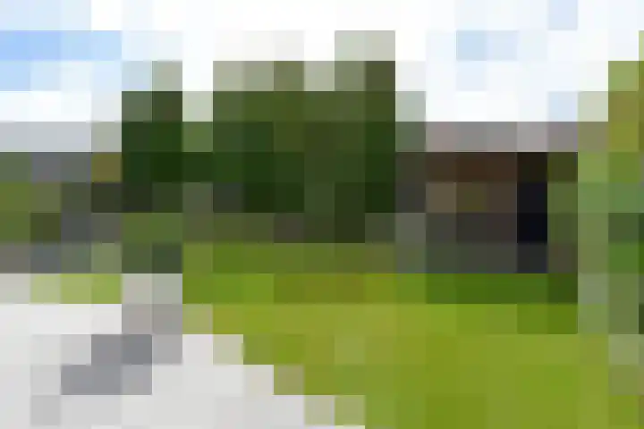 Bootshaak 9 Nieuwkoop thumbnail 33