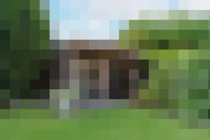 Bootshaak 9 Nieuwkoop thumbnail 34