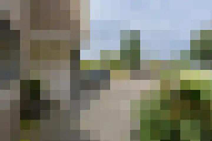 Bootshaak 9 Nieuwkoop thumbnail 35