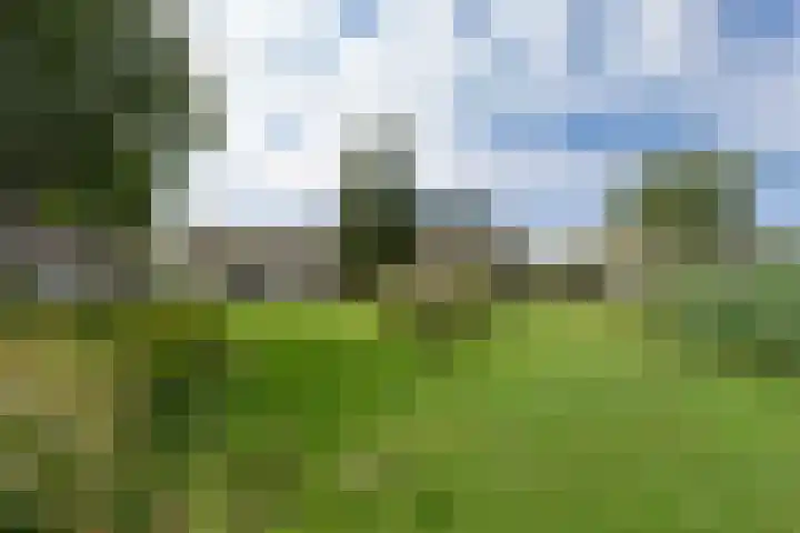 Bootshaak 9 Nieuwkoop thumbnail 36