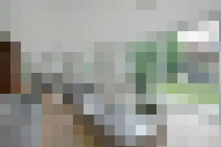 Bootshaak 9 Nieuwkoop thumbnail 4