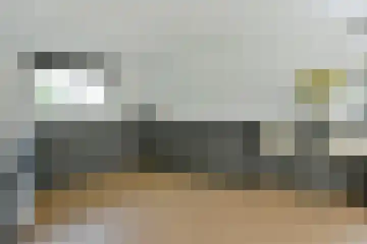Bootshaak 9 Nieuwkoop thumbnail 5