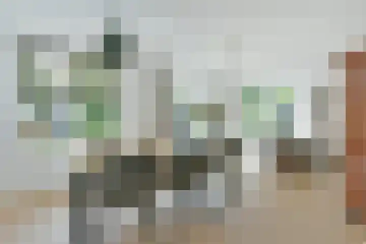 Bootshaak 9 Nieuwkoop thumbnail 6