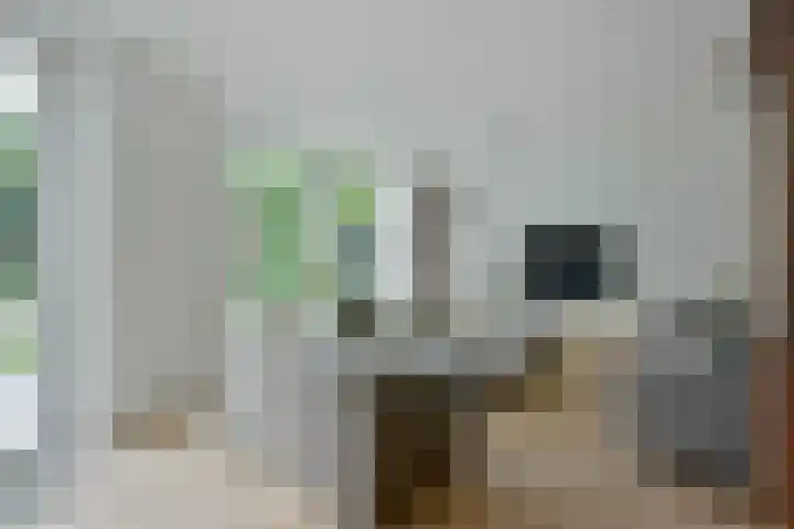Bootshaak 9 Nieuwkoop thumbnail 8