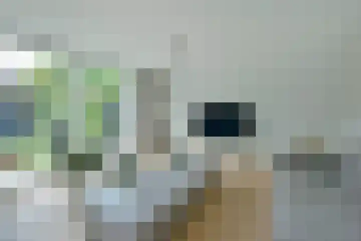 Bootshaak 9 Nieuwkoop thumbnail 9