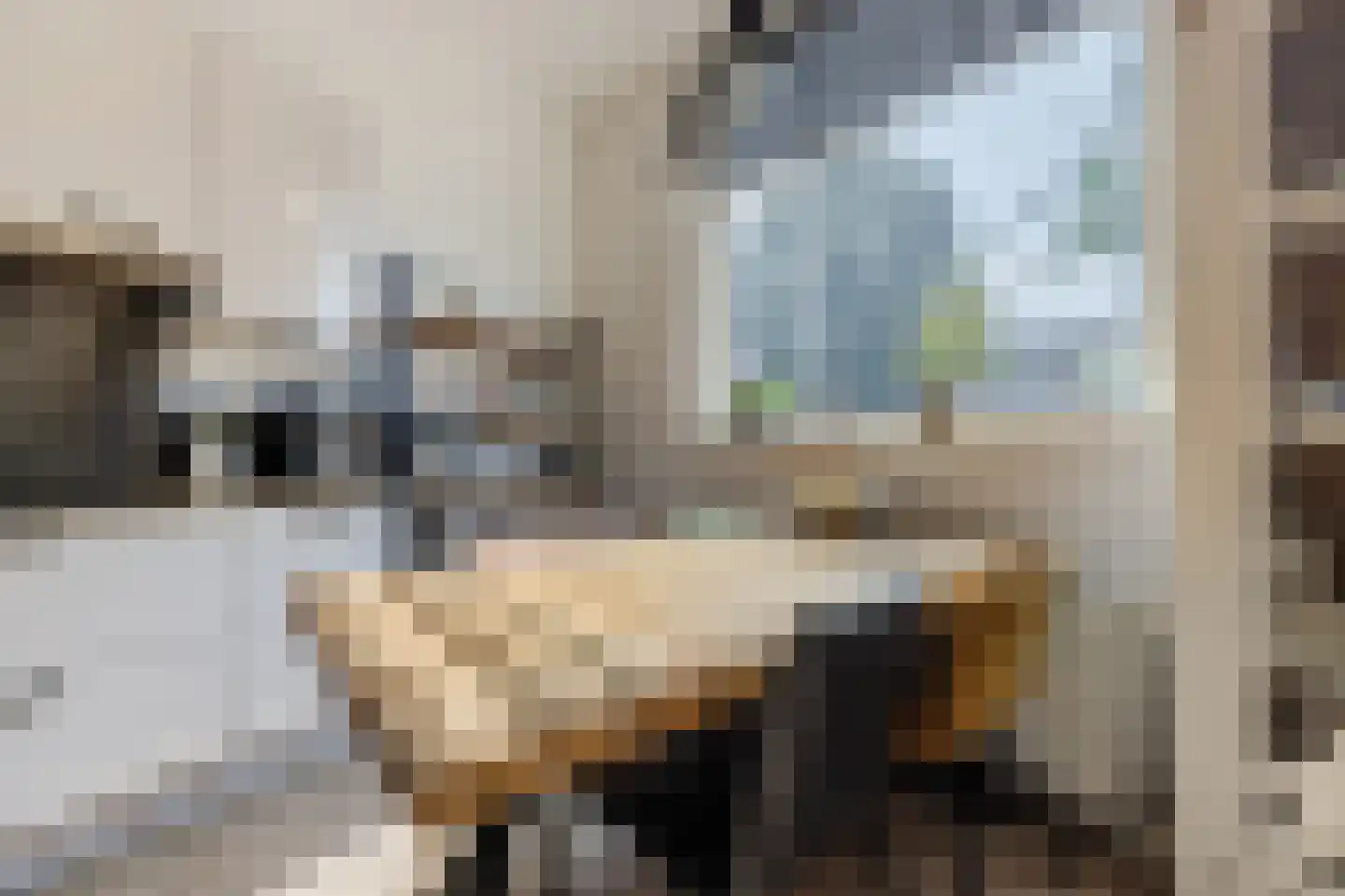 Bootsmansingel 32 Den Haag thumbnail 11