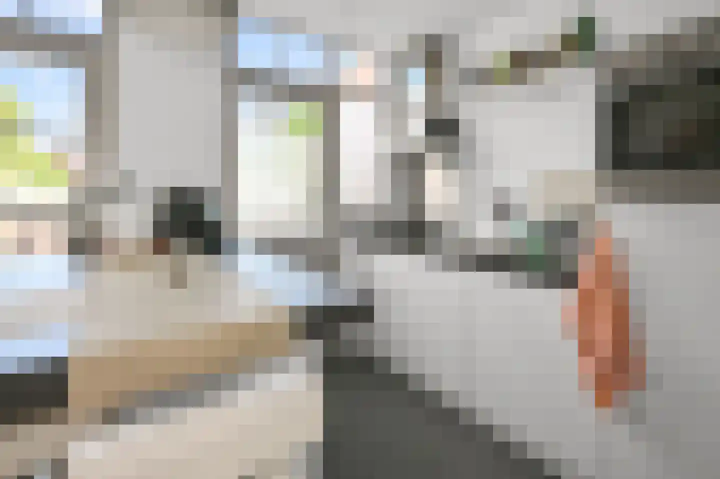 Bootsmanstraat 7 Zaandam thumbnail 7