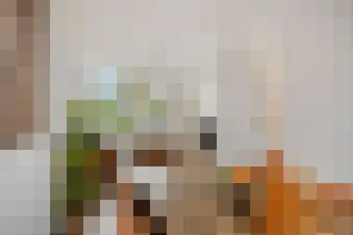 Bootsmanstraat 9 Zaandam thumbnail 7