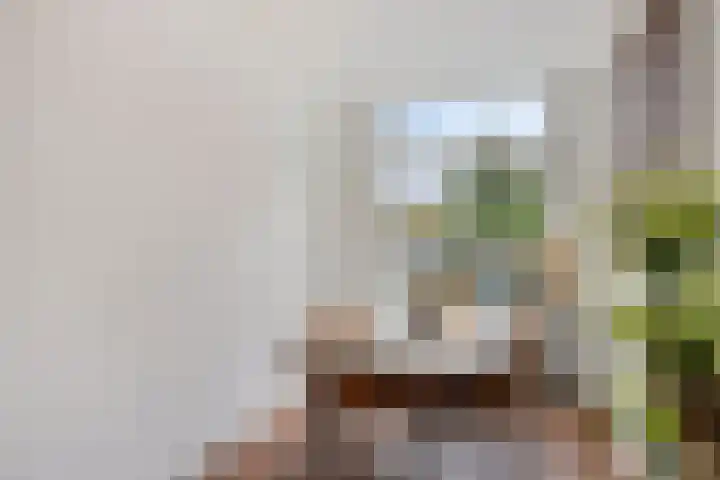 Bootsmanstraat 9 Zaandam thumbnail 8