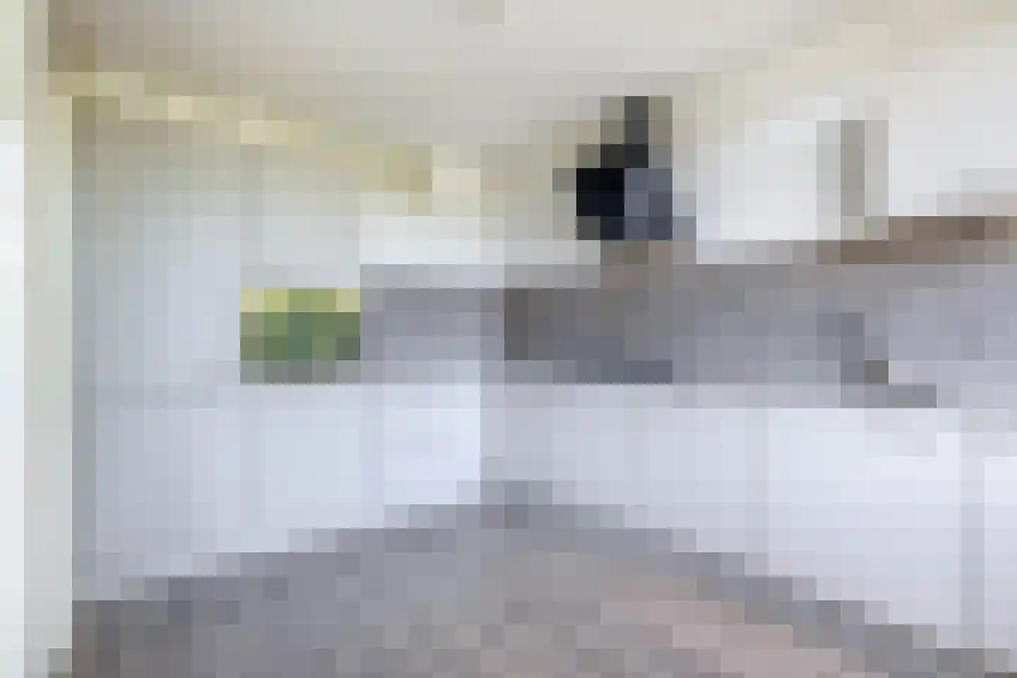 Bootsmastraat 11 Zoetermeer thumbnail 27