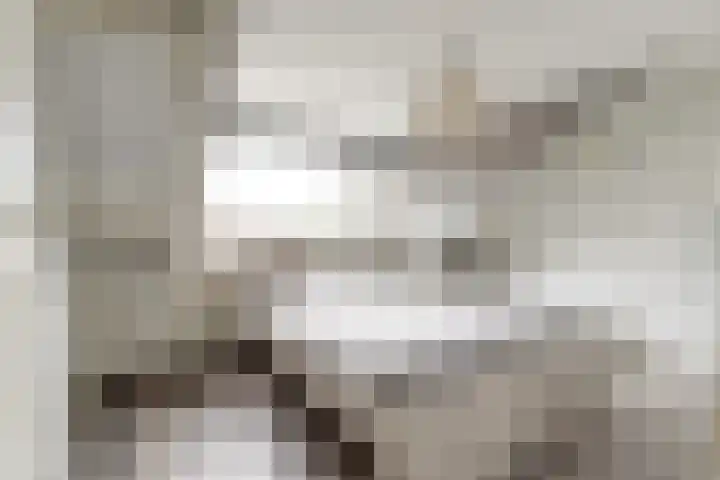 Bootstraat 2 's-Gravendeel thumbnail 24