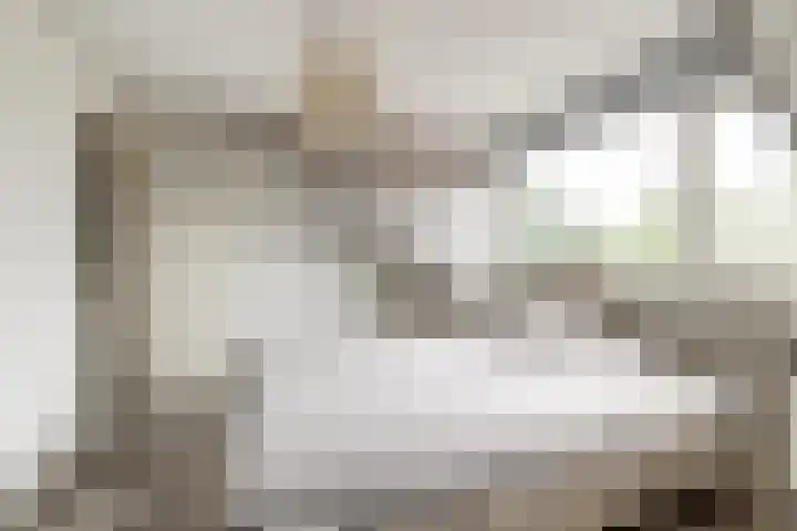 Bootstraat 2 's-Gravendeel thumbnail 25