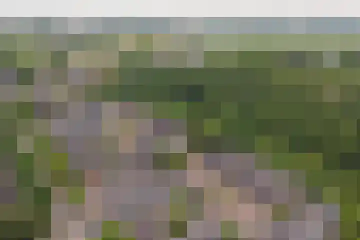 Bootstraat 2 's-Gravendeel thumbnail 35