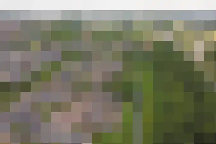 Bootstraat 2 's-Gravendeel thumbnail 36