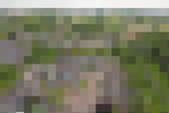 Bootstraat 2 's-Gravendeel thumbnail 37