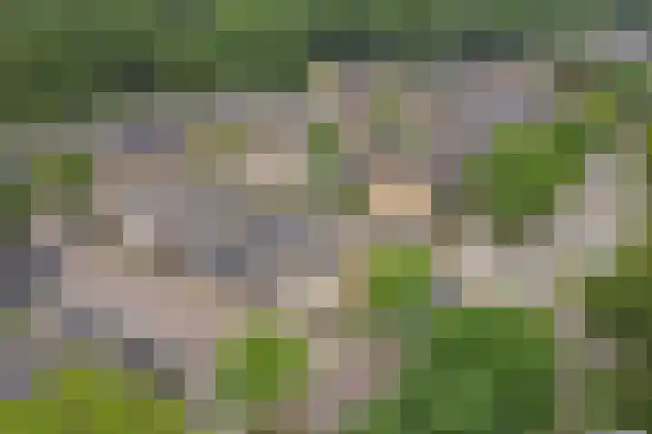 Bootstraat 2 's-Gravendeel thumbnail 38