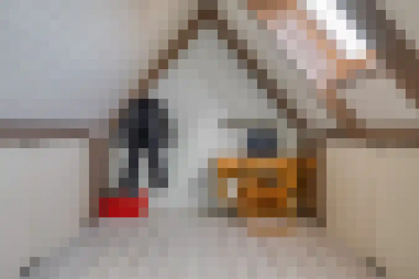 Bootstraat 25 Aardenburg thumbnail 25