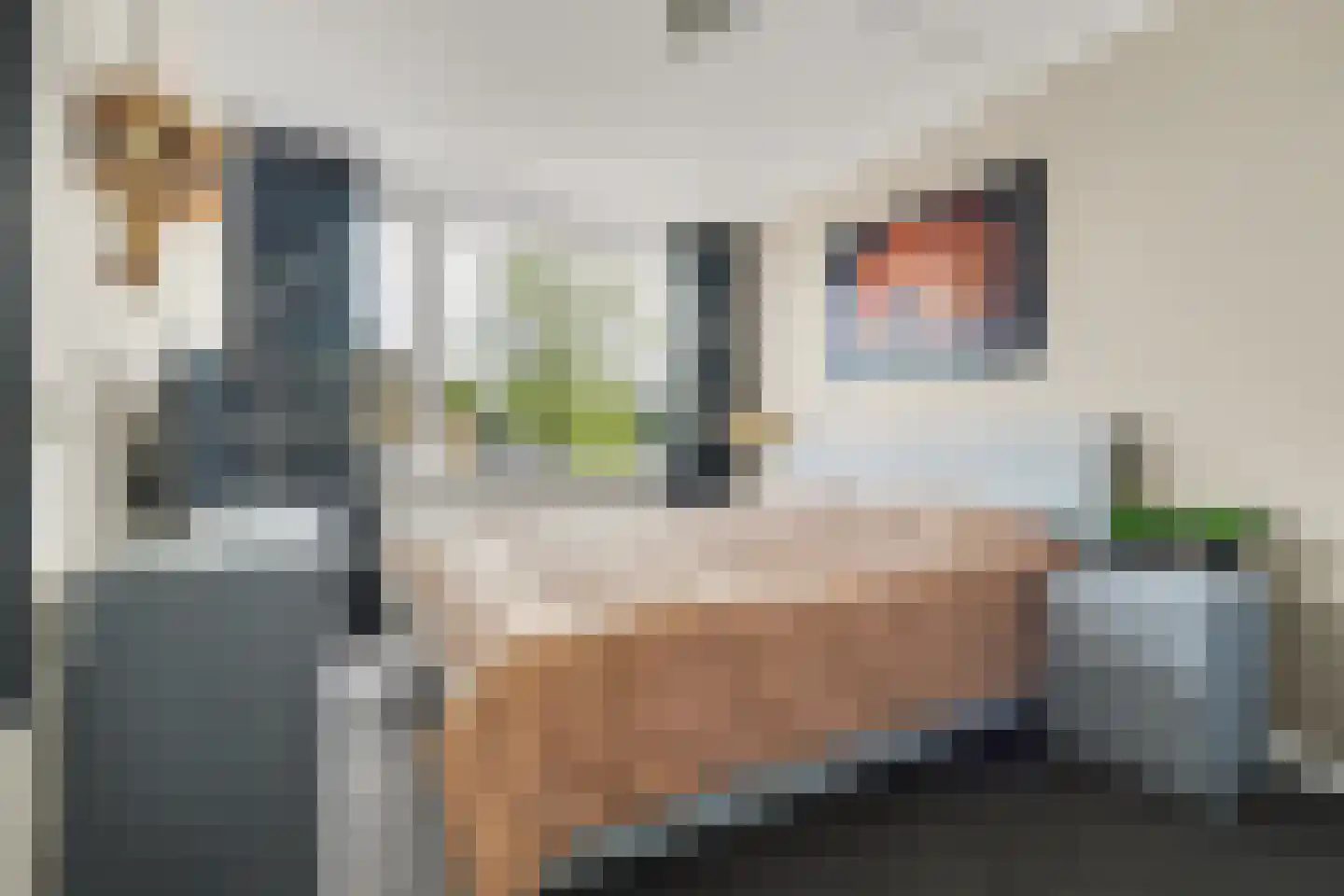 Bootstraat 3 's-Gravendeel thumbnail 18