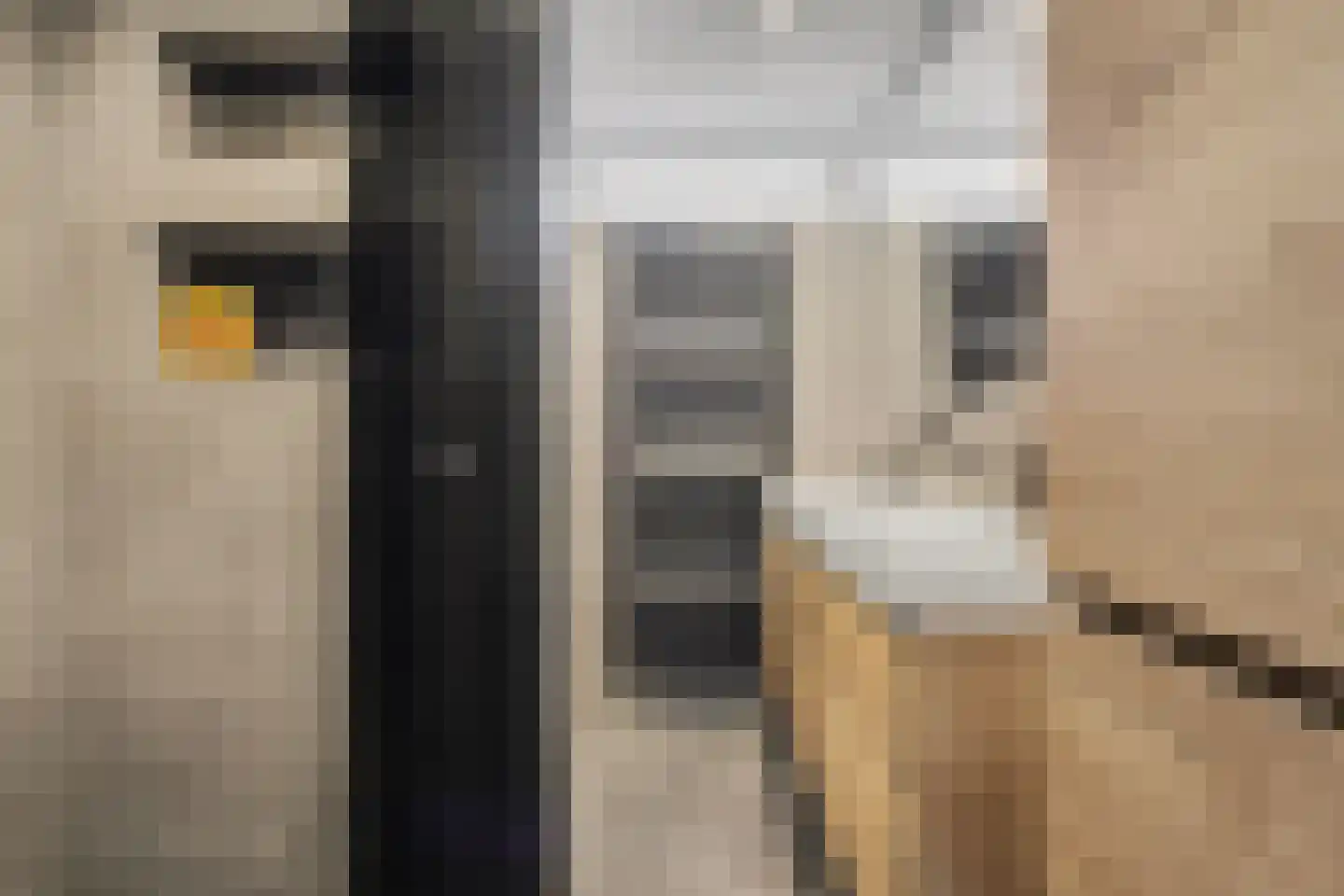 Bootstraat 3 's-Gravendeel thumbnail 22
