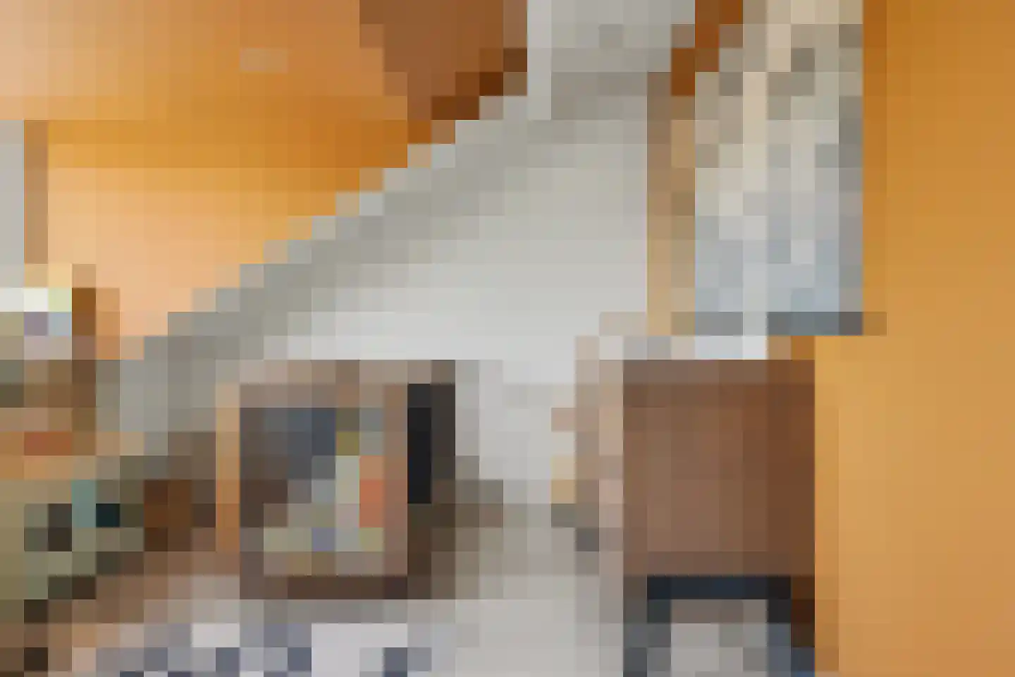 Bootstraat 3 's-Gravendeel thumbnail 25