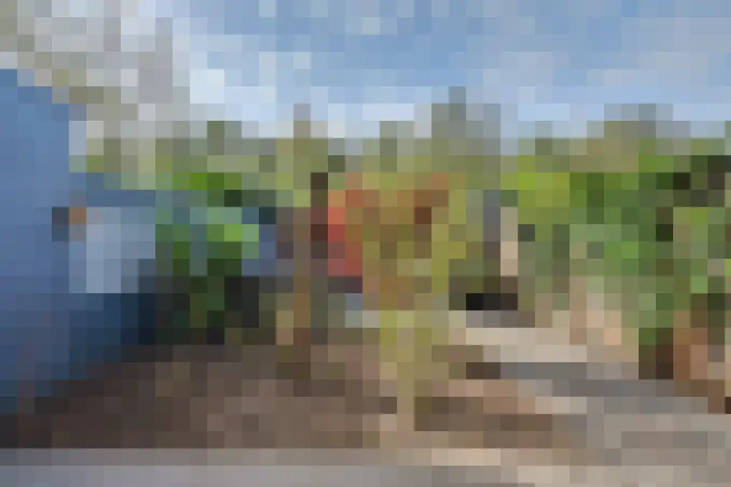 Bootstraat 3 's-Gravendeel thumbnail 28