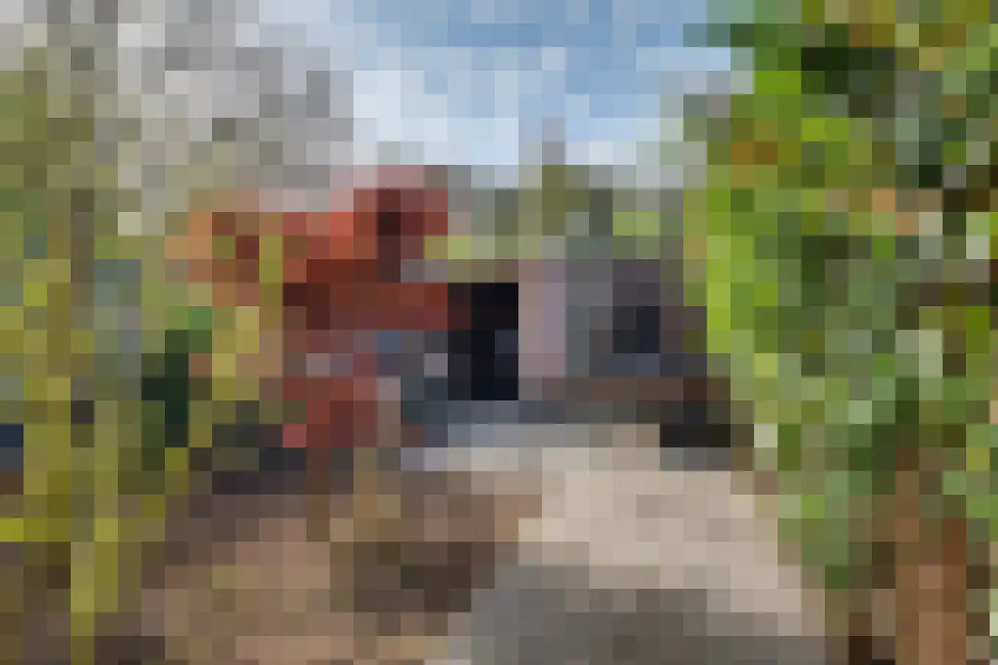 Bootstraat 3 's-Gravendeel thumbnail 29