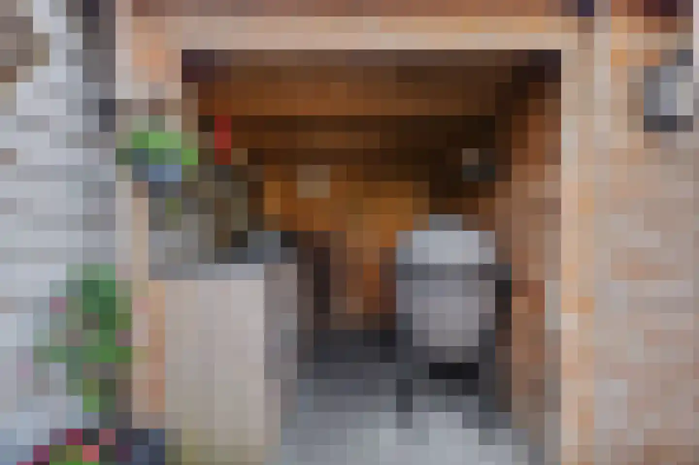Bootstraat 3 's-Gravendeel thumbnail 32