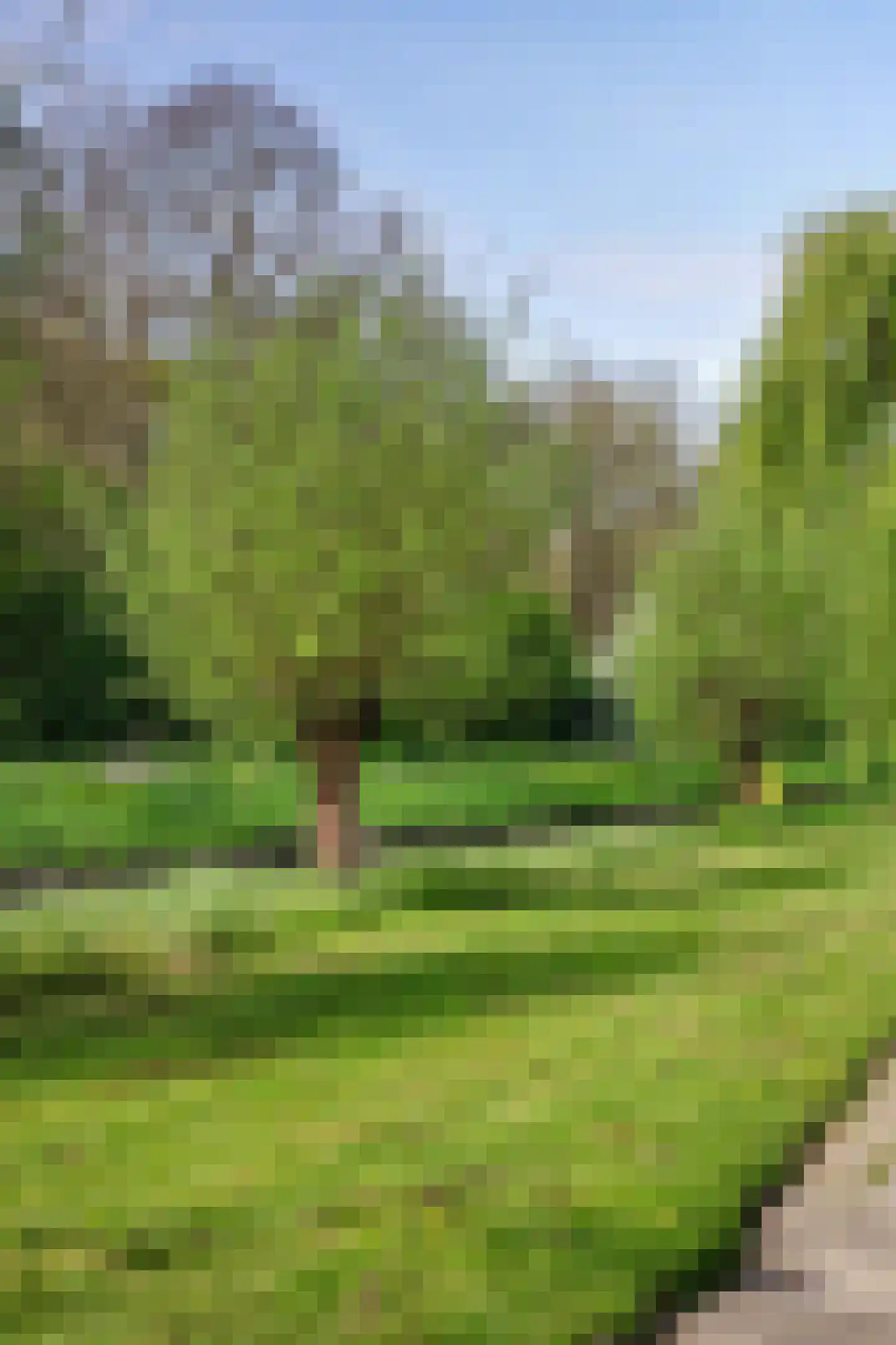 Bootstraat 3 's-Gravendeel thumbnail 35