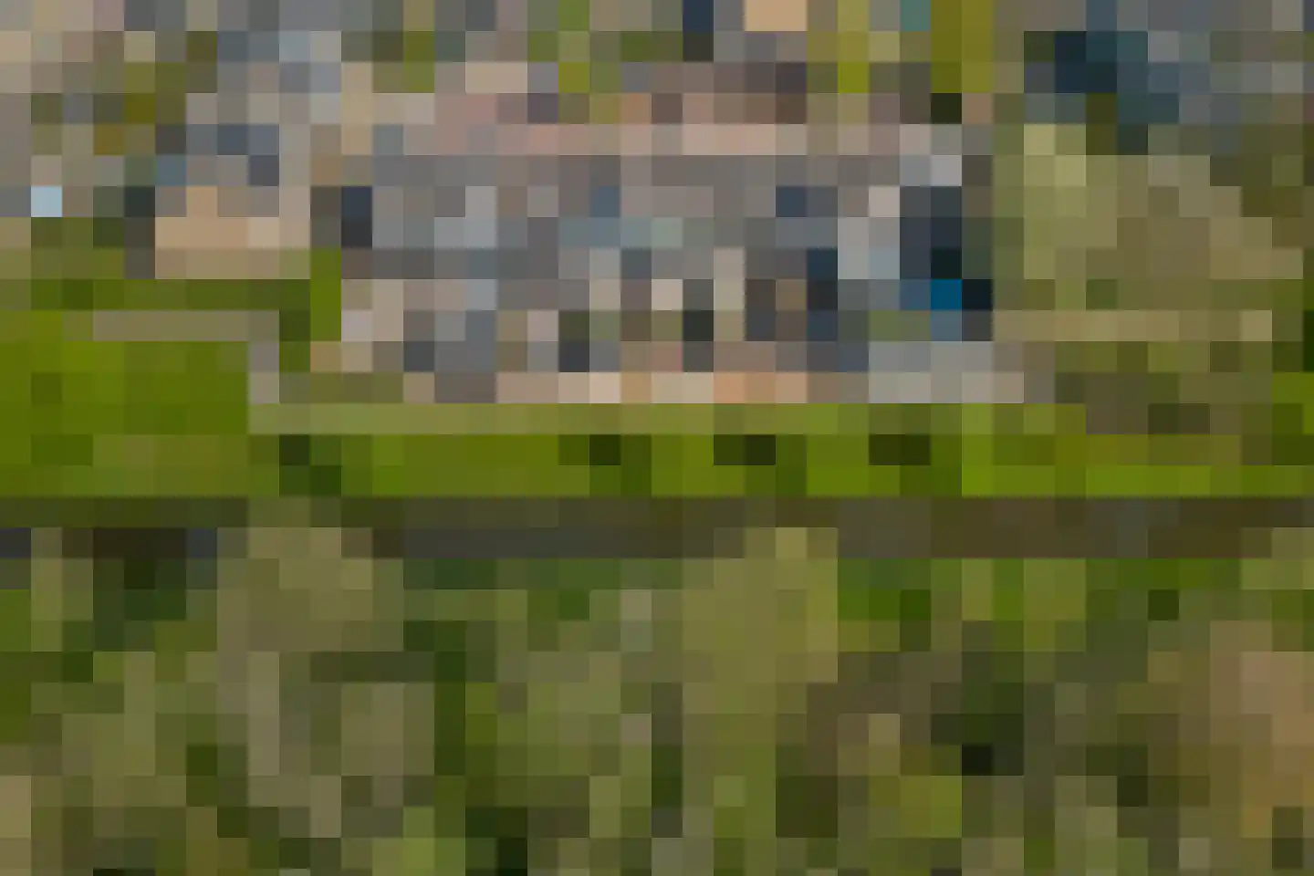 Bootstraat 3 's-Gravendeel thumbnail 36