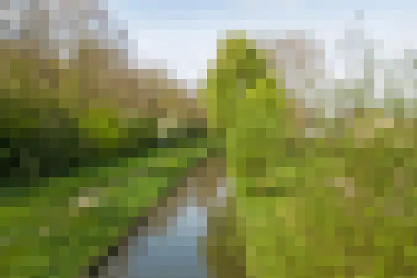 Bootstraat 3 's-Gravendeel thumbnail 4