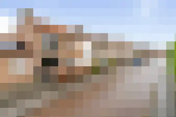 Bootstraat 38 Etten-Leur thumbnail 33