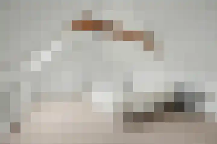 Bootstraat 9 Oud-Beijerland thumbnail 30