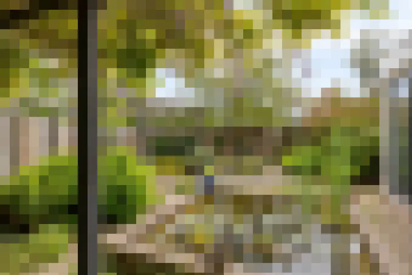 Booyenhoek 22 Waalre thumbnail 19