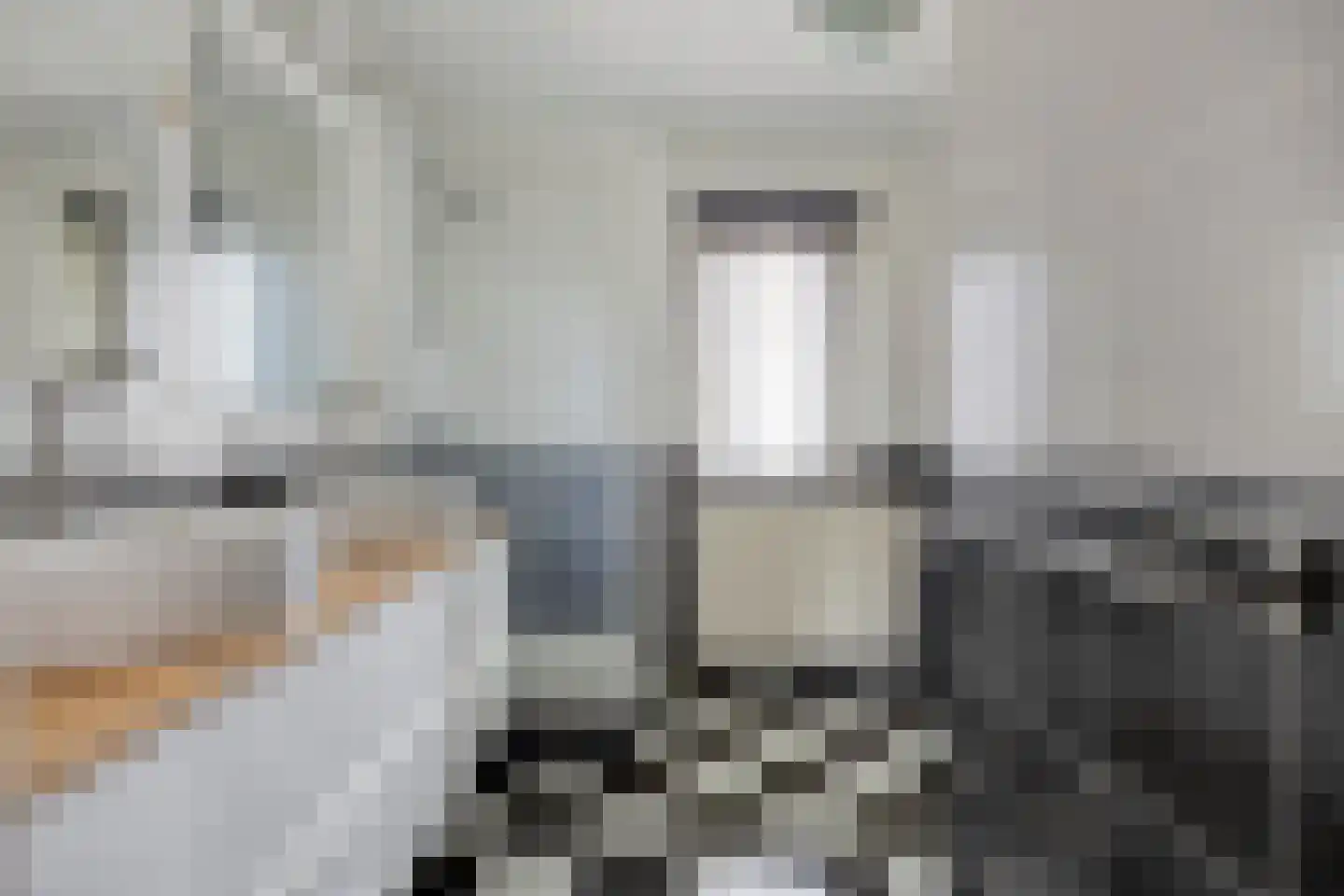 Booyenhoek 22 Waalre thumbnail 26