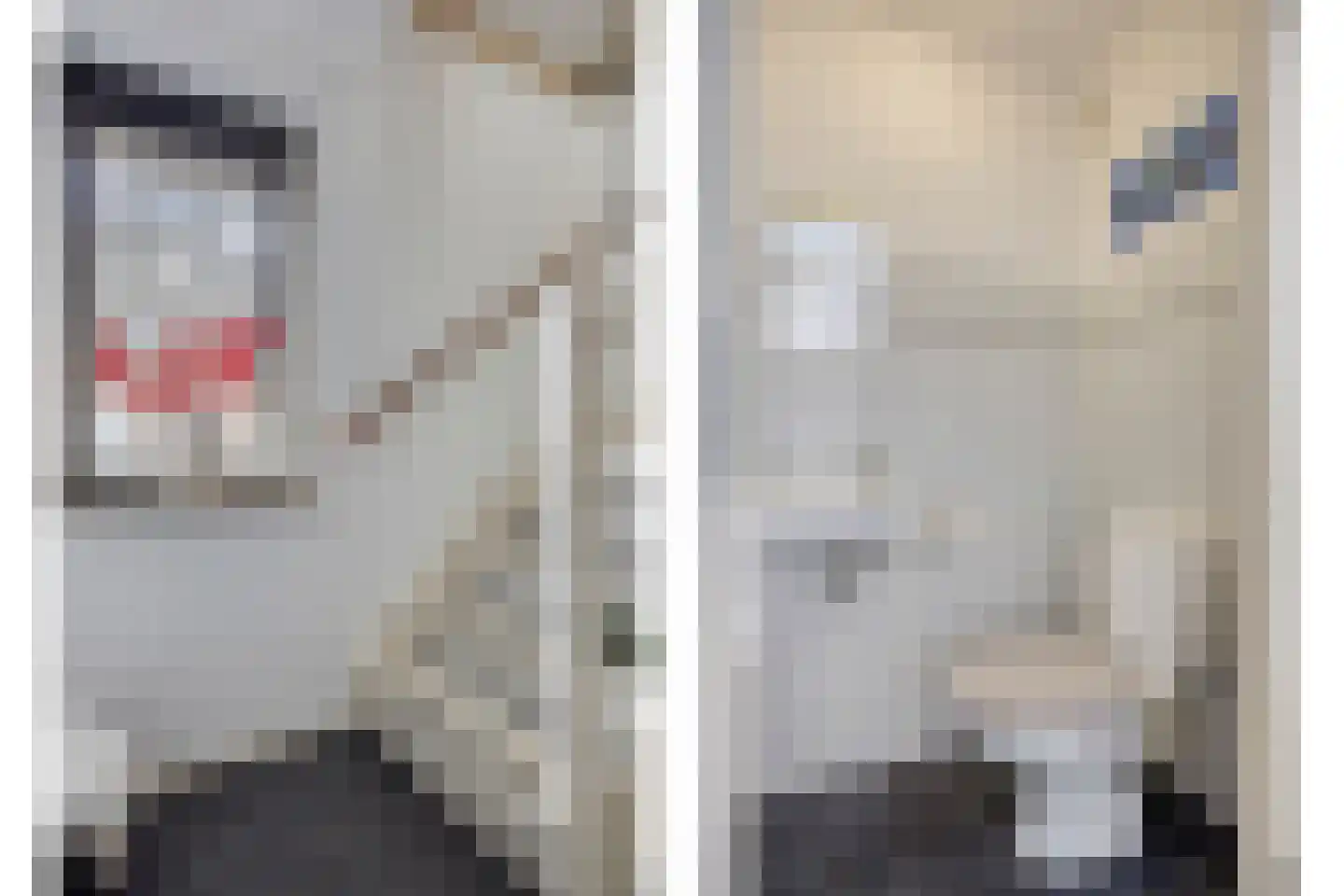 Booyenhoek 22 Waalre thumbnail 33