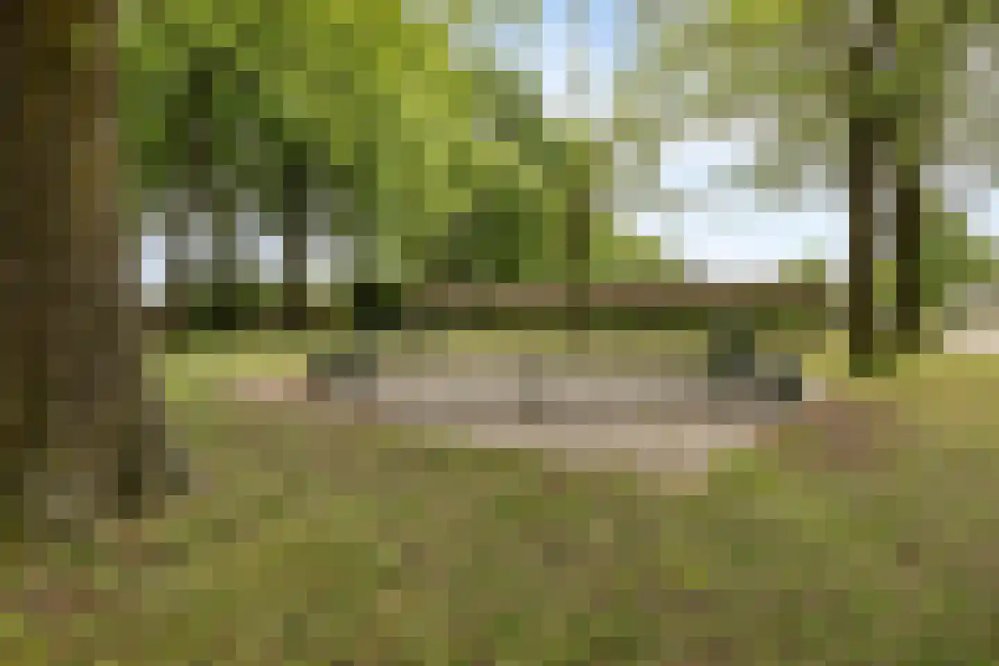 Booyenhoek 22 Waalre thumbnail 39