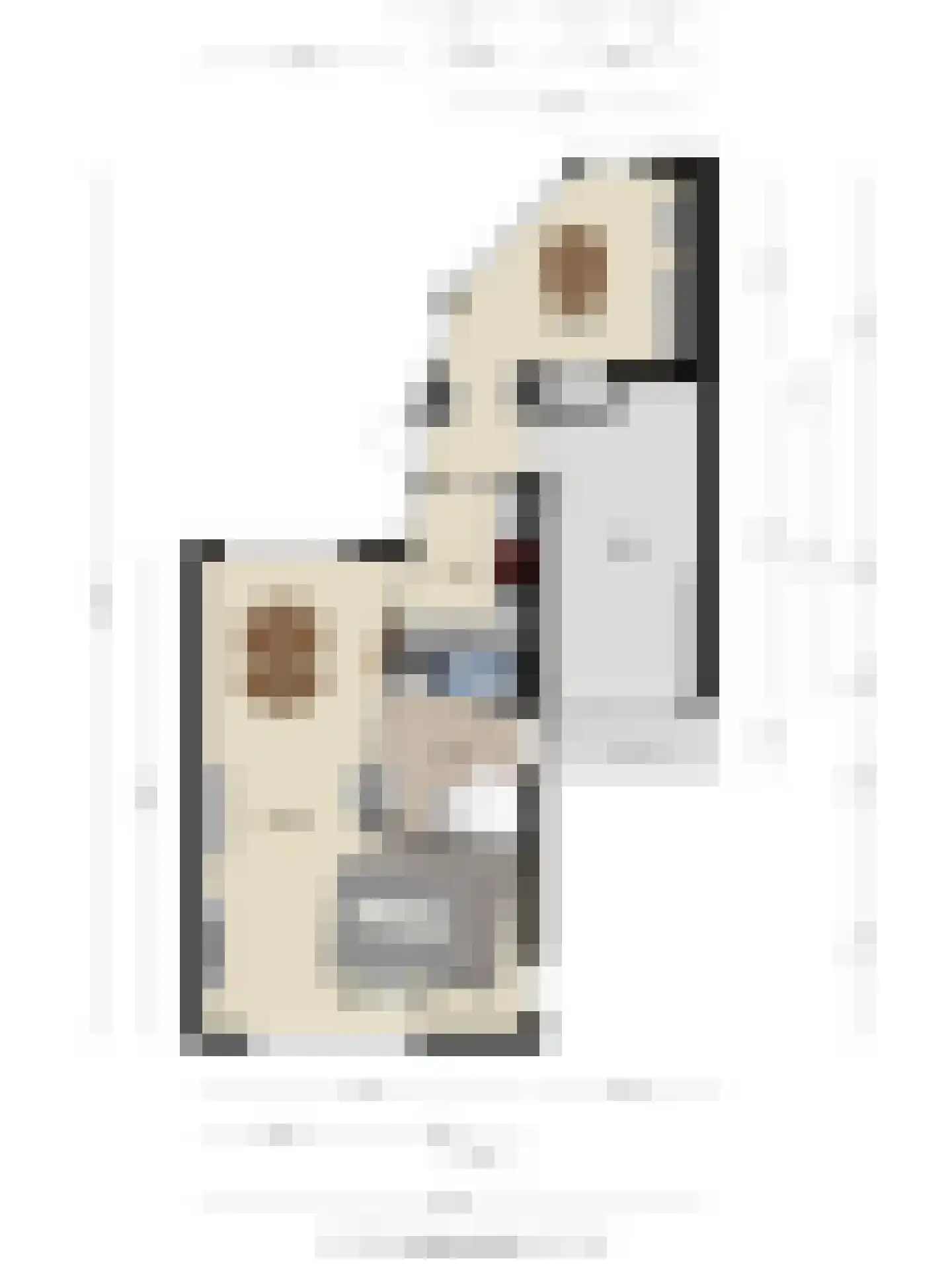 Booyenhoek 22 Waalre thumbnail 40